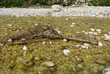 beautifull river