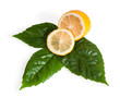 cross section of yellow lemon