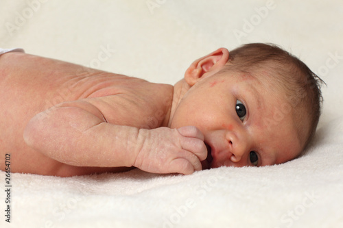 Photo: Portrait of a newborn baby girl on white blanket Portrait of a newborn baby girl on white blanket