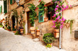 flowers on the wall