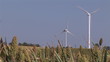 Video: Wind turbines turning standin on a beautiful landscape Wind turbines turning standin on a beautiful landscape
