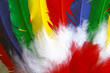 Feathers Feathers