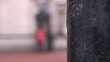 Zoom out showing a Queen's guard in  Buckingham Palace