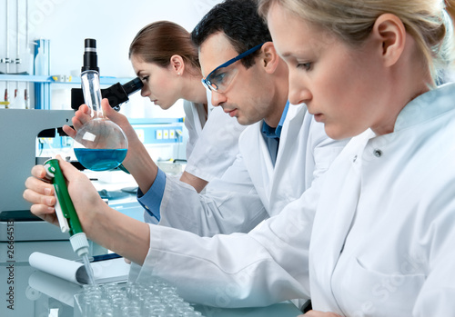 Photo: group of students working at the laboratory group of students working at the laboratory