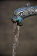 Wasserstrahl aus Drachenkopf