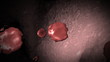 3d video of  travel into a vein with red corpuscle in movement