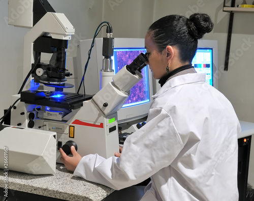 Photo : researcher working with fluorescent microscope researcher working with fluorescent microscope