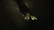 Stalactite lighting up in a cave