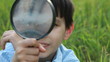 magnifier