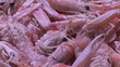 Vision of a prawn display in a fish store