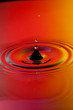 Splash 10