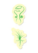 Nature Icons