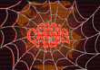 vector graffiti illustration with web and world crisis vector graffiti illustration with web and world crisis