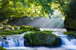 原生林と渓流と光芒　Virgin forest and shaft beam of light