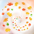Autumn leaves