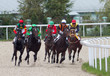 Horse racing.