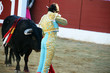 Torero entrando a matar