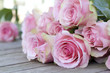 Beautiful pink roses Beautiful pink roses