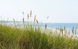 Panorama am Meer - At the Ocean