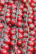 pomodori
