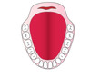 Vector a jaw with teeth of the person Vector a jaw with teeth of the person