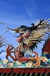 dargon on the roof dargon on the roof
