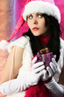 Santa's Helper Santa's Helper