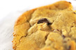 Macro shot of delicious cookie