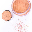 makeup brush and powder