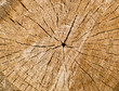 wooden background
