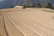 farm scenery farm scenery