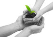New Life