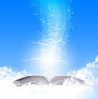 magic book