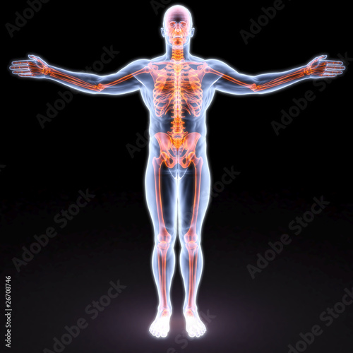 Illustration: body body