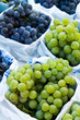 Grape Variety