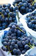 Concord grapes
