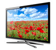 Illustration: tv lcd with flowers on screen. tv lcd with flowers on screen.