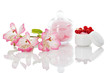 Cremedose Wattepads mit Blume