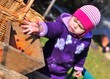 viticulture bébé