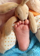 pied de bébé et doudou