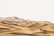 In der Wüste, Marokko, Sahara In der Wüste, Marokko, Sahara