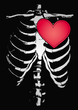 human skull with heart design human skull with heart design