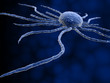Illustration: cancer cell cancer cell