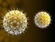 Foto: Virus Virus