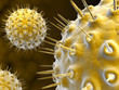 Foto: Virus Virus