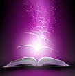 magic book