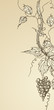 Vector: vintage background vintage background