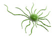 cancer cell