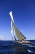 Voiles de Saint-Tropez