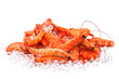 Prawns on Ice Prawns on Ice